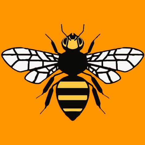 Manchester Logo
